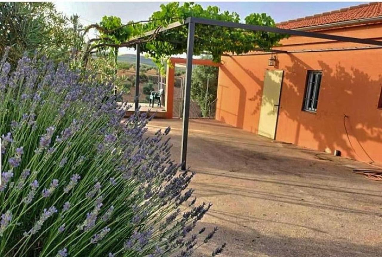 فيلا Cortijo Puente Alhama ألاما دي غرانادا المظهر الخارجي الصورة
